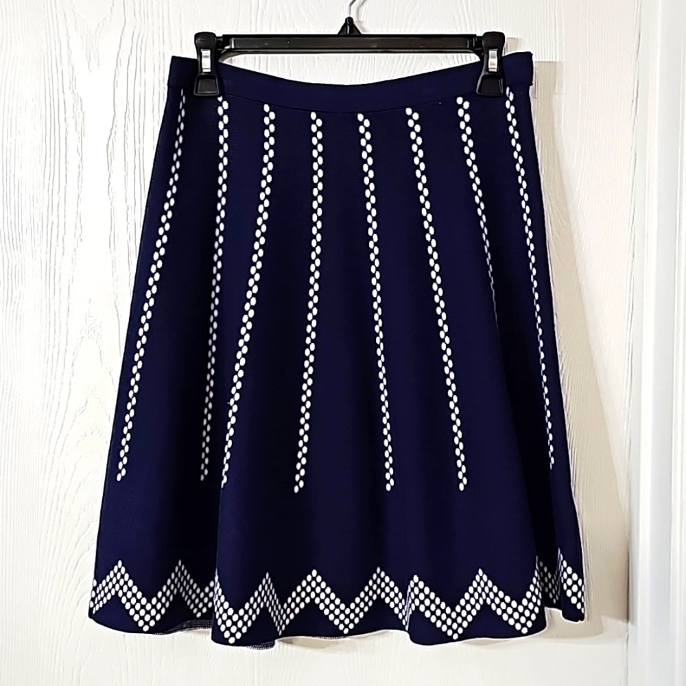 Spense Sioni Chevron Skirt